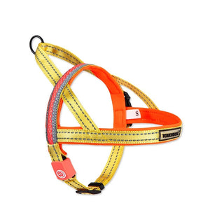 Illuminate Your Walks with Our LED Dog Leash