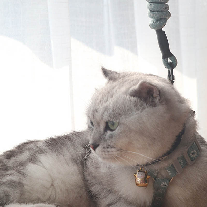 The Perfect Companion for Your Feline Friend: Simple Pet Print Anti-stroke Cat Leash