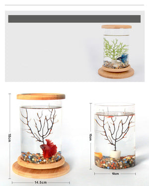 Transform Your Workspace with the Small Office Glass Aquarium Bamboo Base
