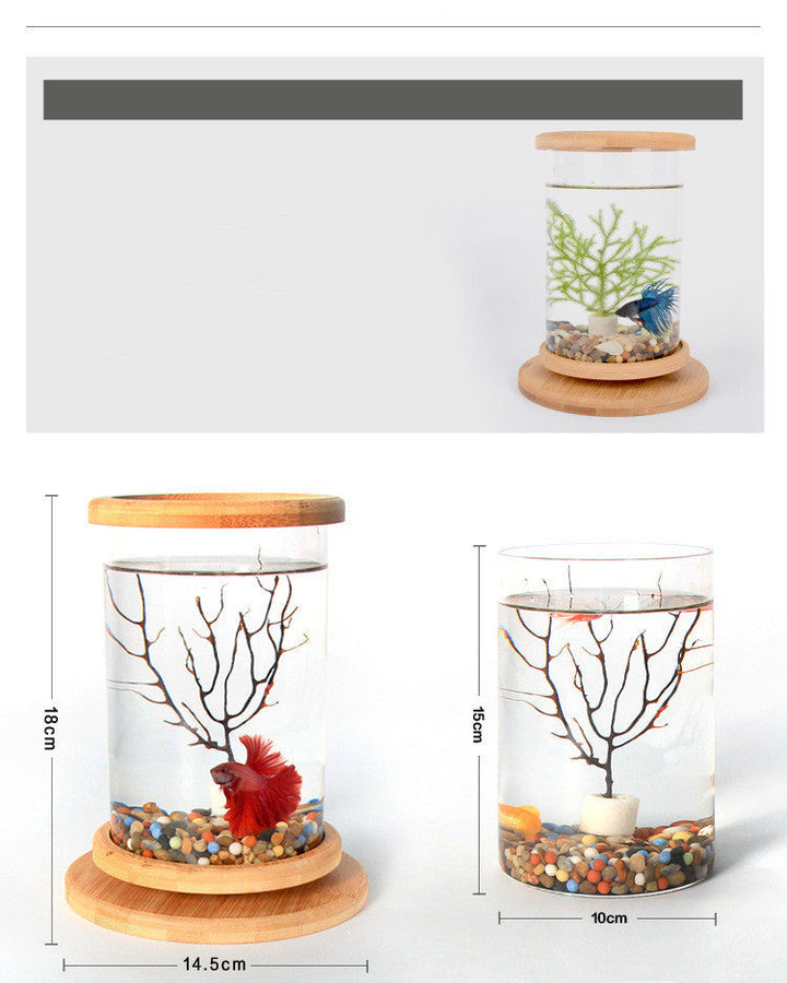 Transform Your Workspace with the Small Office Glass Aquarium Bamboo Base