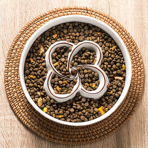 Discover the Benefits of the Ceramic Slow Feeder Dog Bowl
