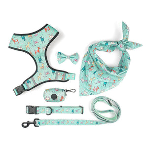 Enhance Your Walks with Our Pet Dog Leash Harness With Bow