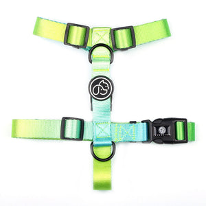The Ultimate Pet Leash for Small to Medium Dogs
