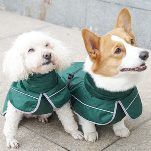 Keep Your Dog Cozy This Winter with Our Pet Dog Warm Shell Jacket