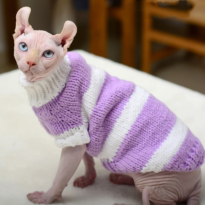 Why Your Hairless Cat Needs a Warm Sweater: The Ultimate Comfort