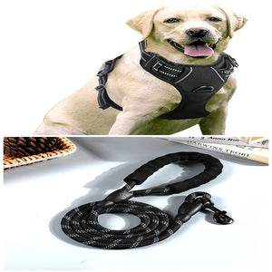 Enhance Your Dog's Outdoor Experience with Our Large Dog Vest Leash