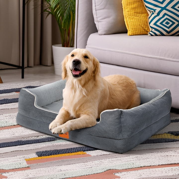 Sweet Dreams for Every Pet