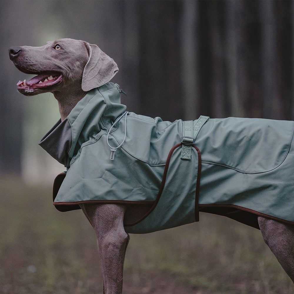 Outdoor Soft Shell Warm Dog Soft Shell Jacket