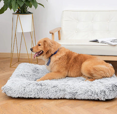 Plush Square Pet Bed Wave Memory