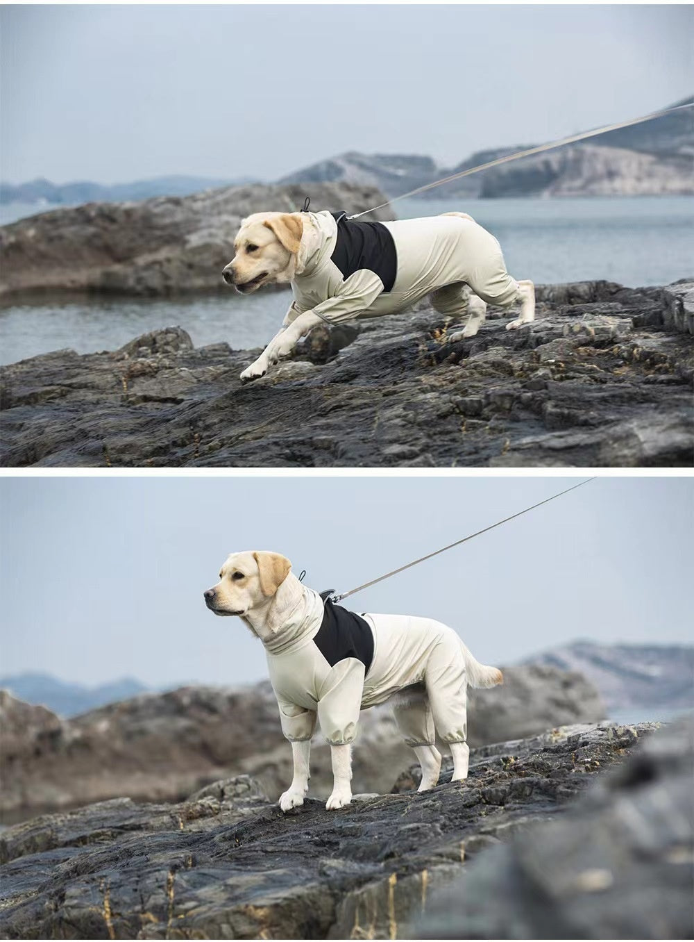 Shell Jacket Four-leg All-inclusive Dog Clothes