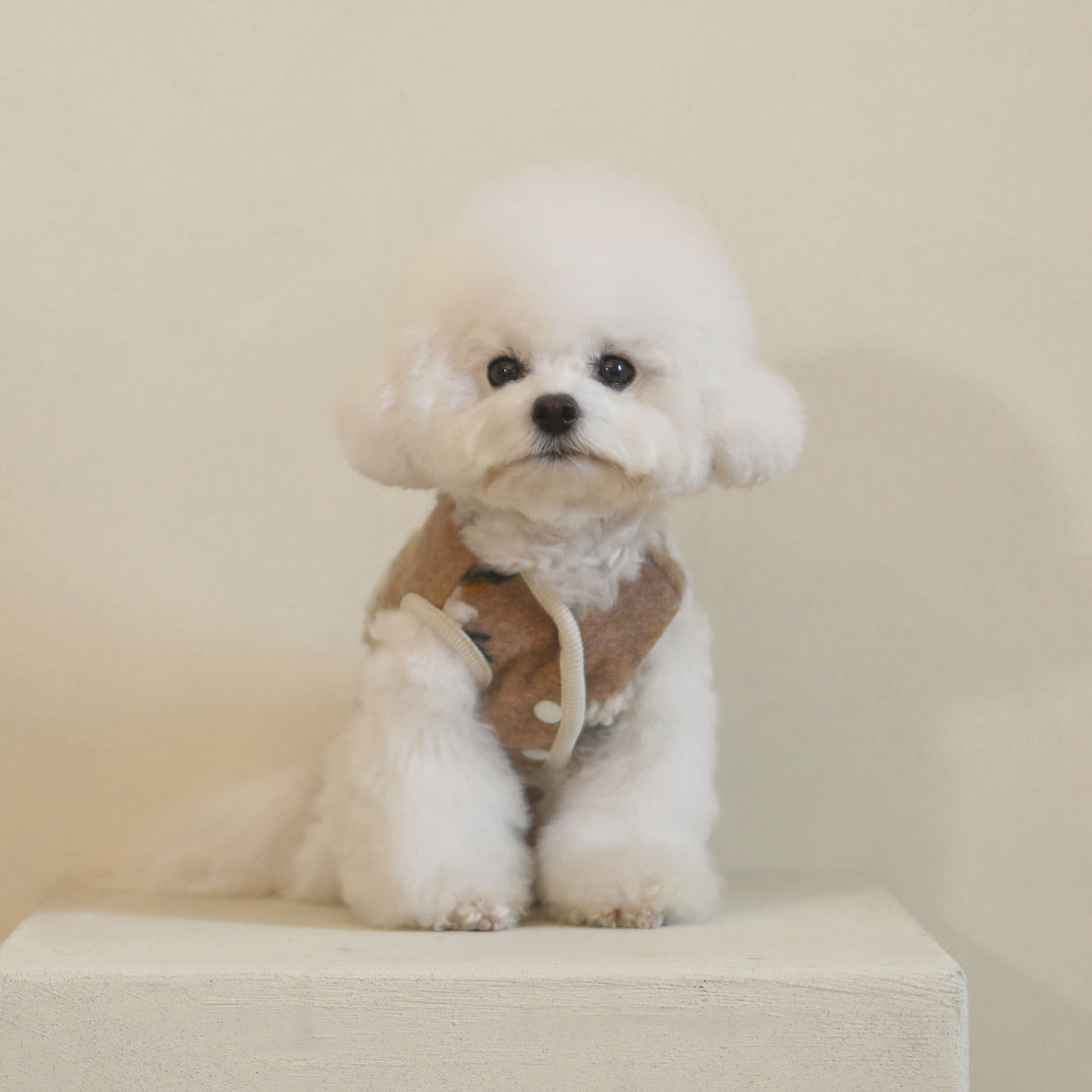 Dog Sweater Warm Pet Clothes