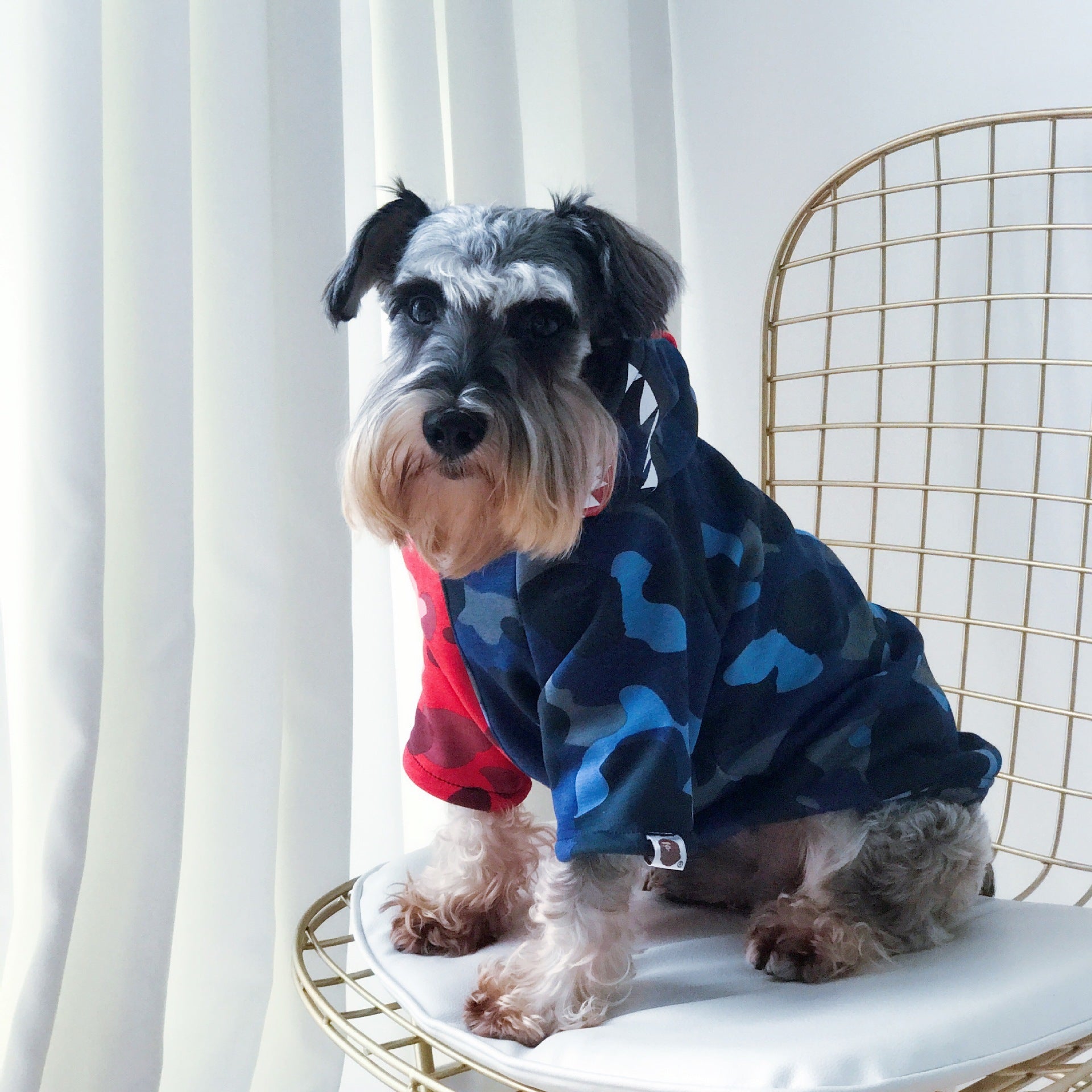 Baby dog autumn winter thickened sweater