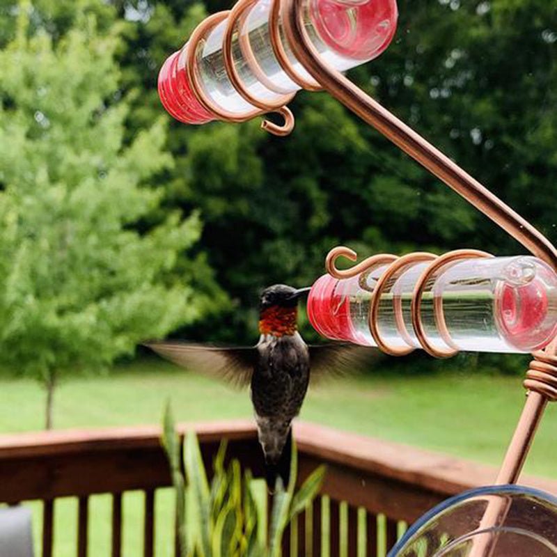 Garden Bird Feeder Supplies Hummingbird Feeder