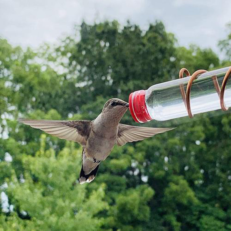 Garden Bird Feeder Supplies Hummingbird Feeder