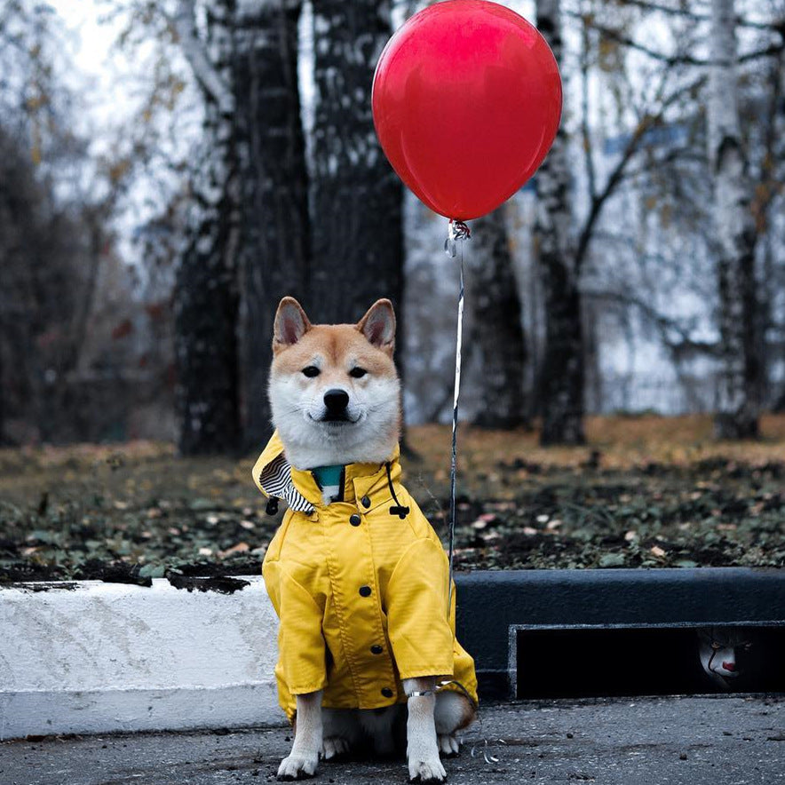 Windproof Dog Pet Jacket