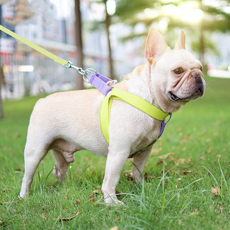 Color Pet Leash Vest-style Dog Leash