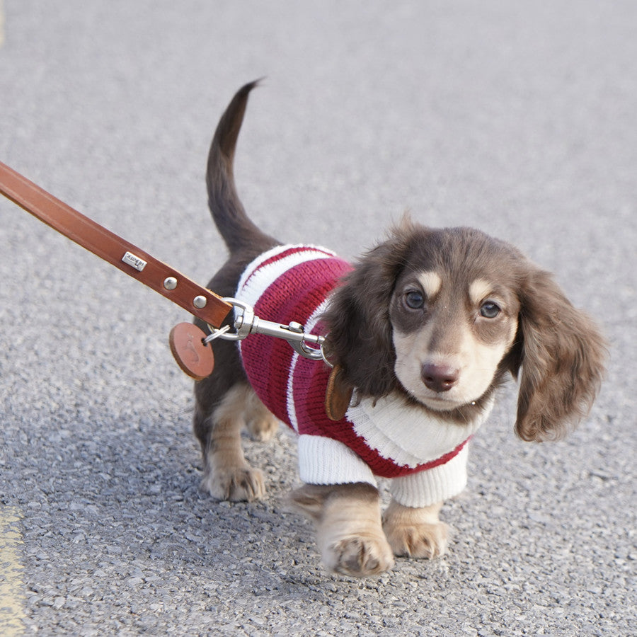 Sausage Dog Clothes Small Dog Cat Warm