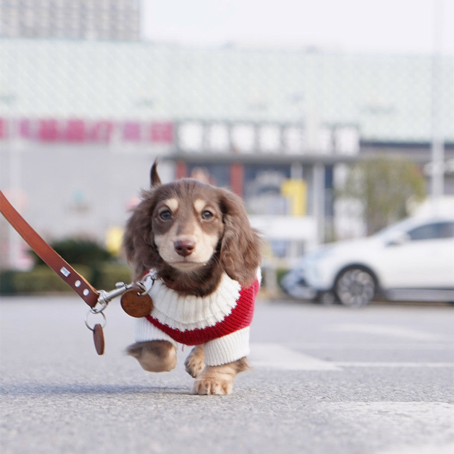 Sausage Dog Clothes Small Dog Cat Warm