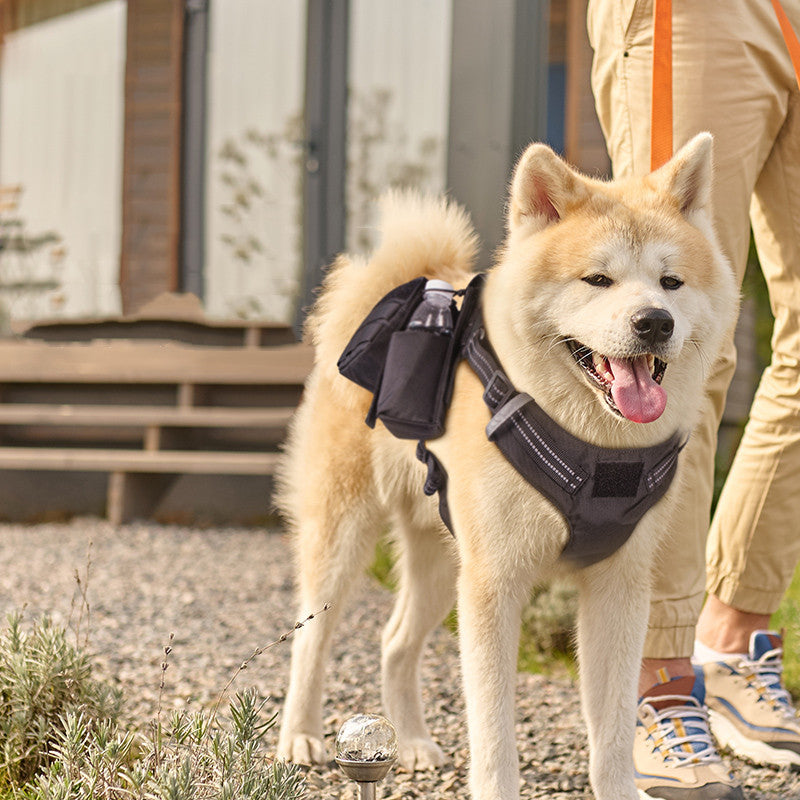 Pet Walking Dog Leash Chest Strap