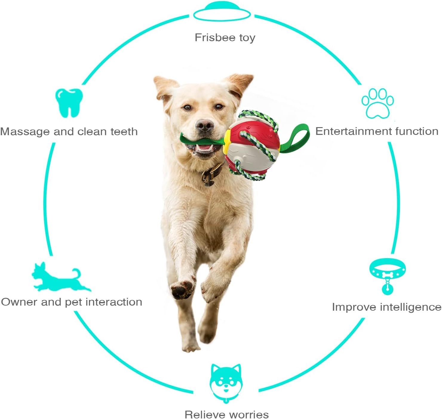 Pet Flying Saucer Ball Dog Toy