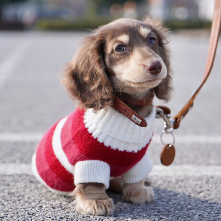 Sausage Dog Clothes Small Dog Cat Warm