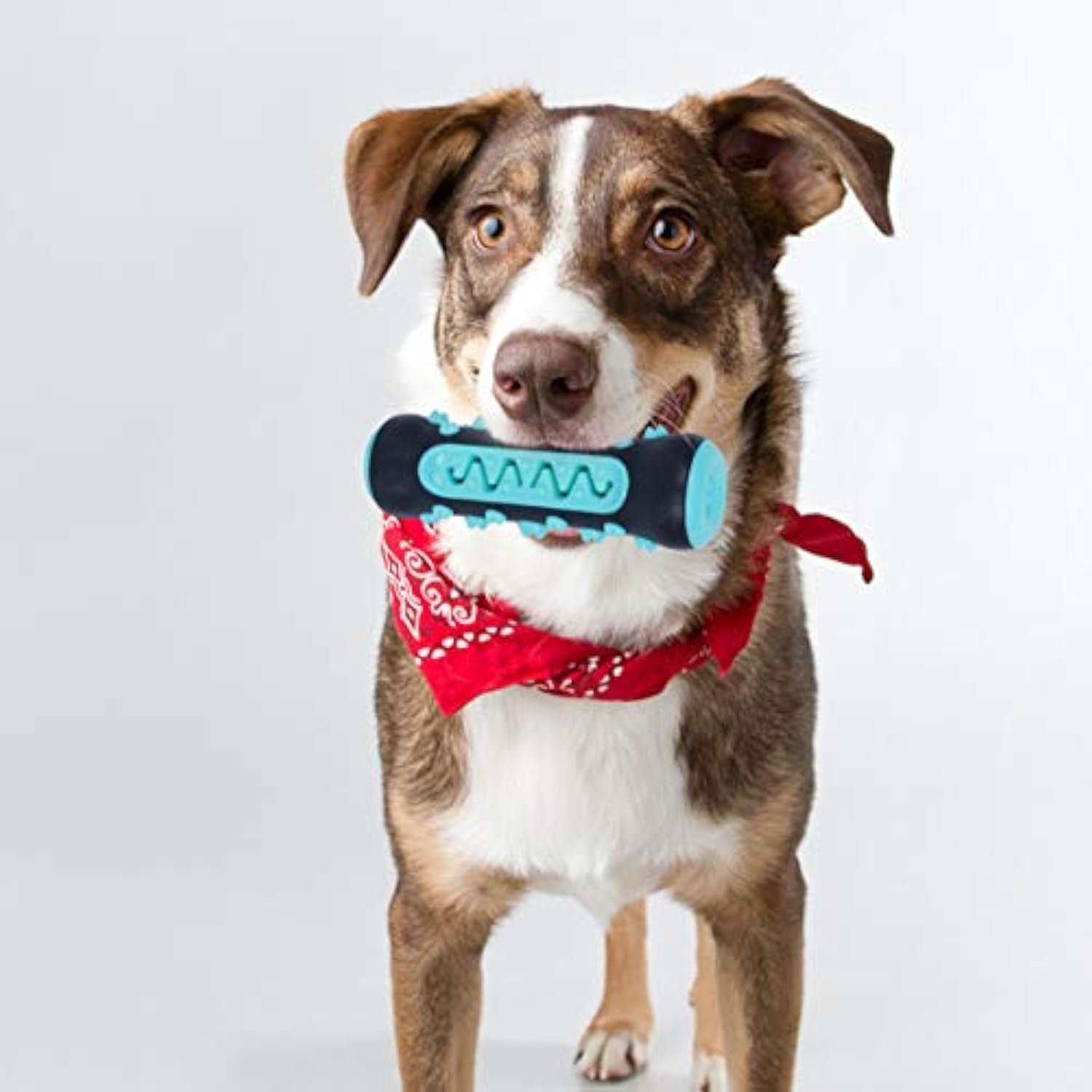 Dog Toothbrush Chew Toy Puppy Dog