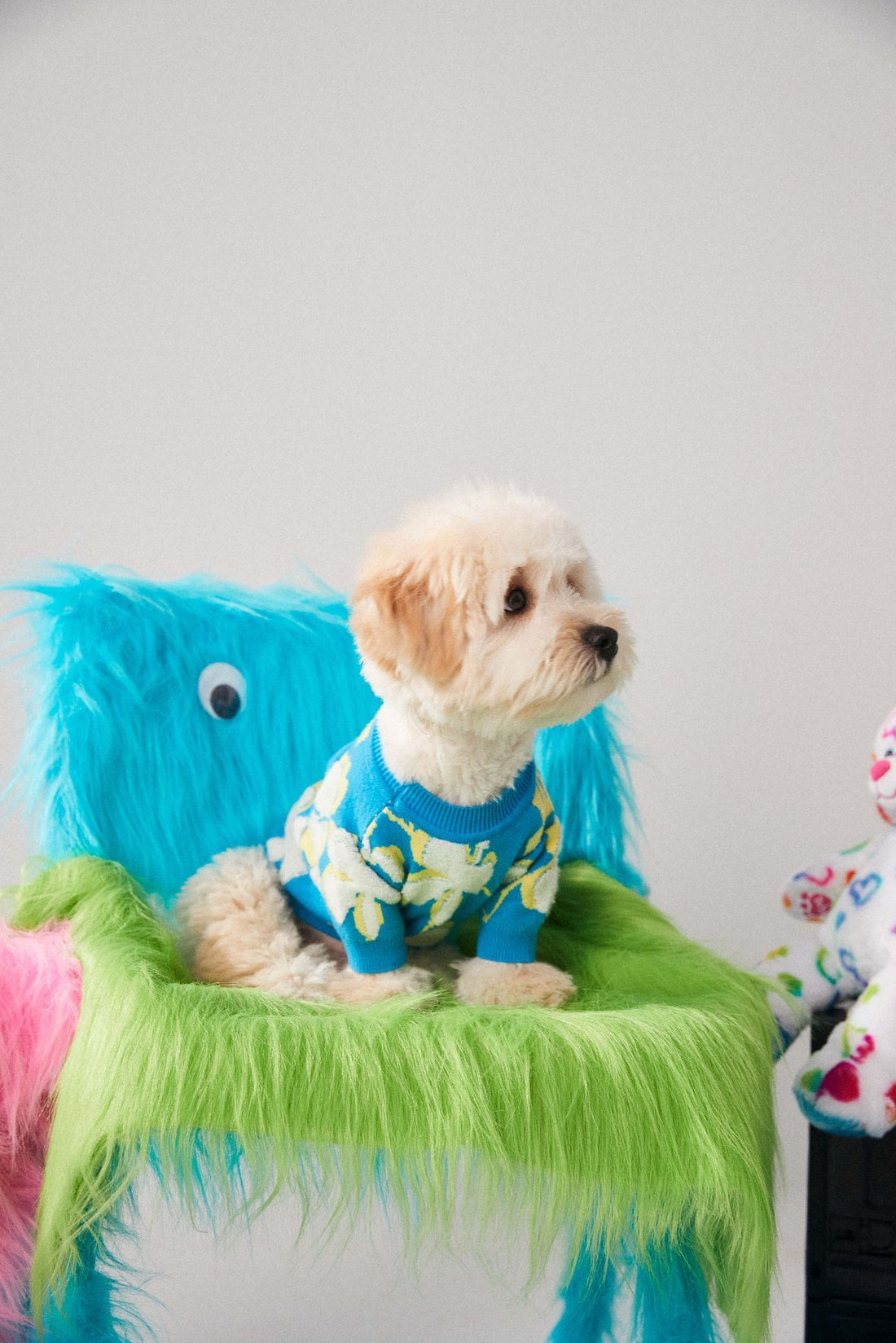 Dog Clothes Warm In Winter Teddy Bear