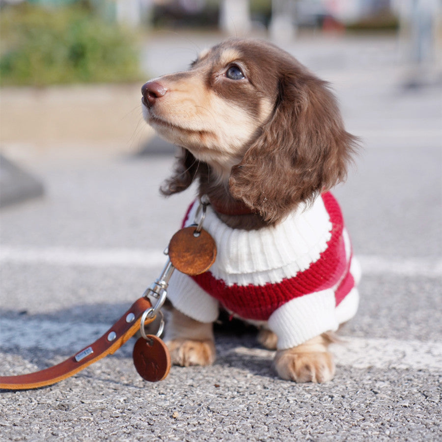 Sausage Dog Clothes Small Dog Cat Warm