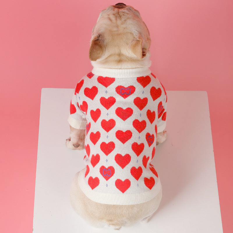 Schnauzer Small Dog Knitted Sweater