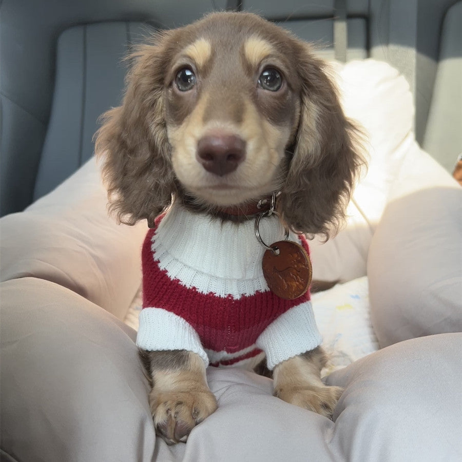Sausage Dog Clothes Small Dog Cat Warm