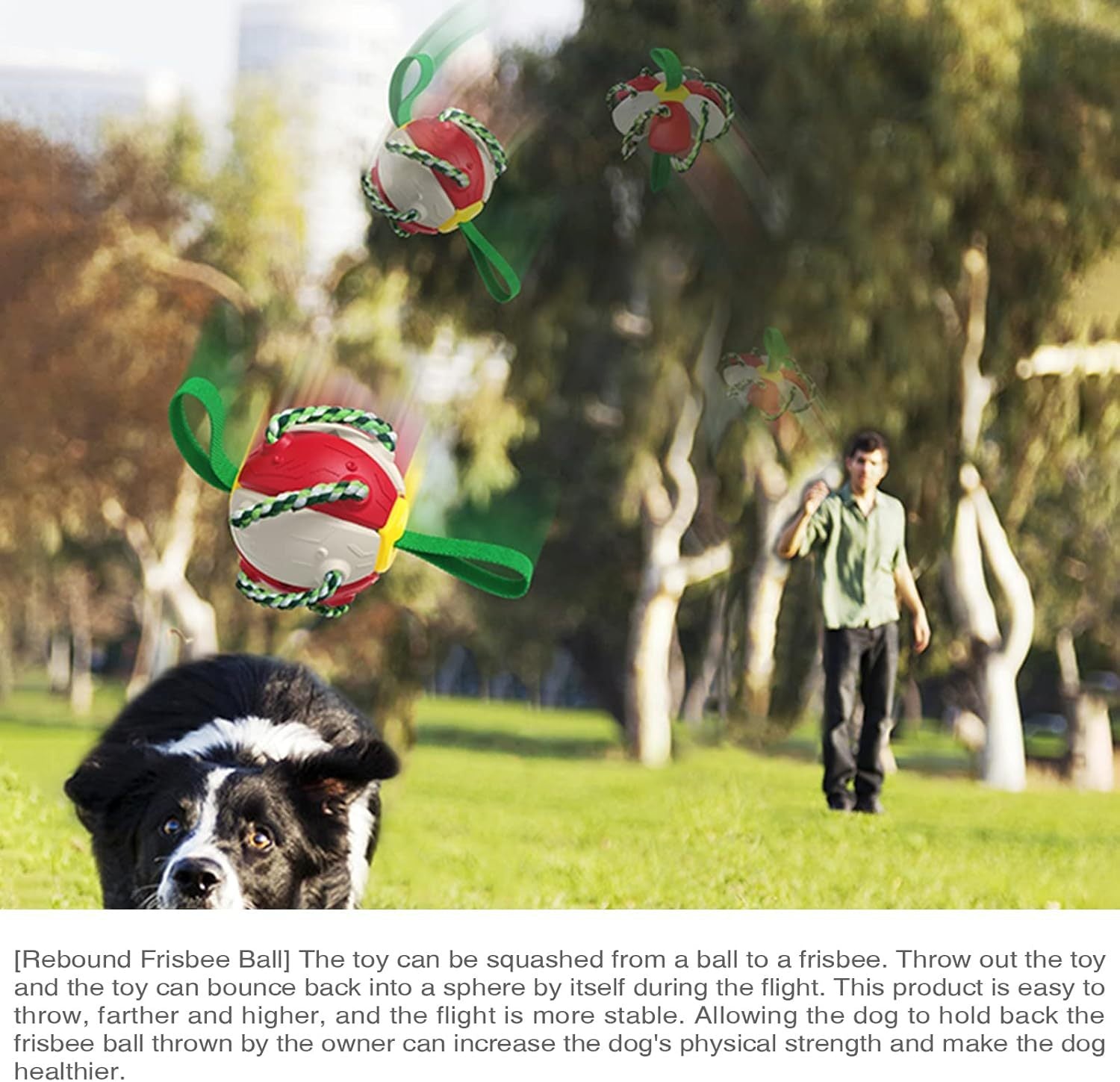 Pet Flying Saucer Ball Dog Toy