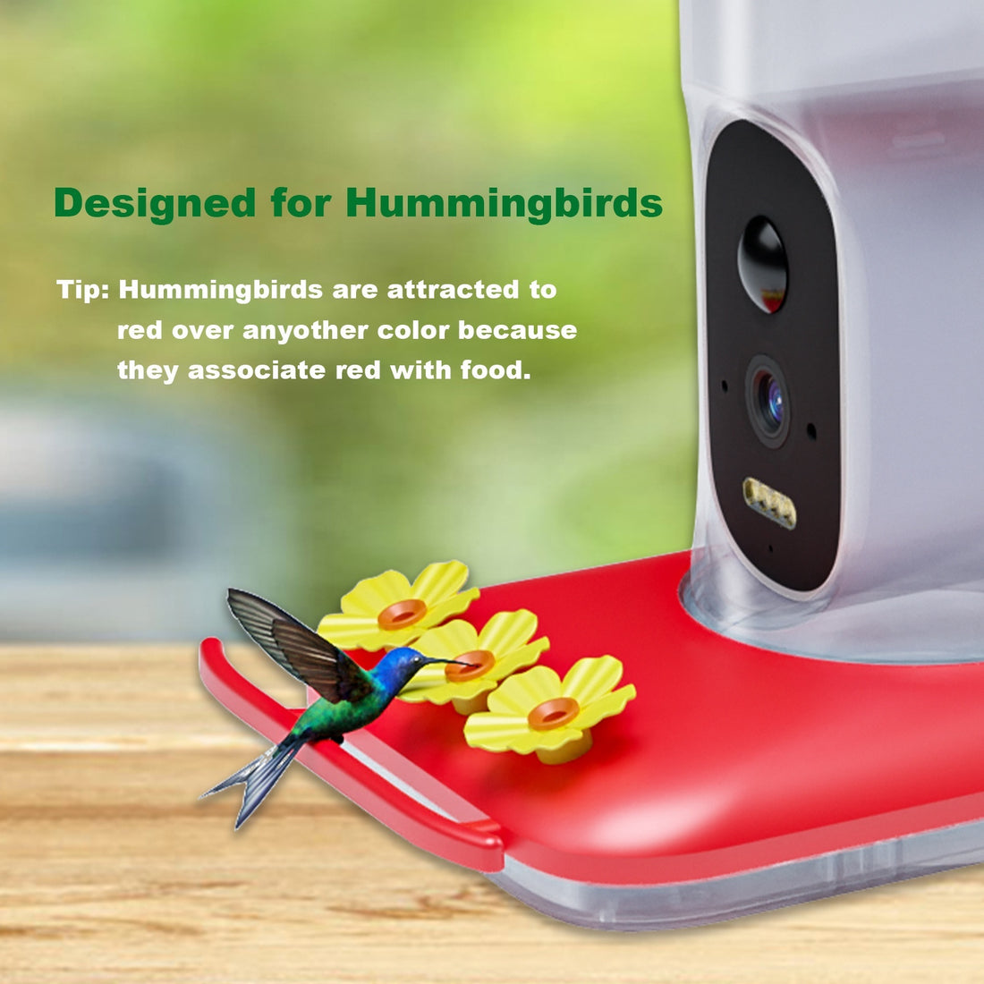Intelligent Visual Hummingbird Water Feeder