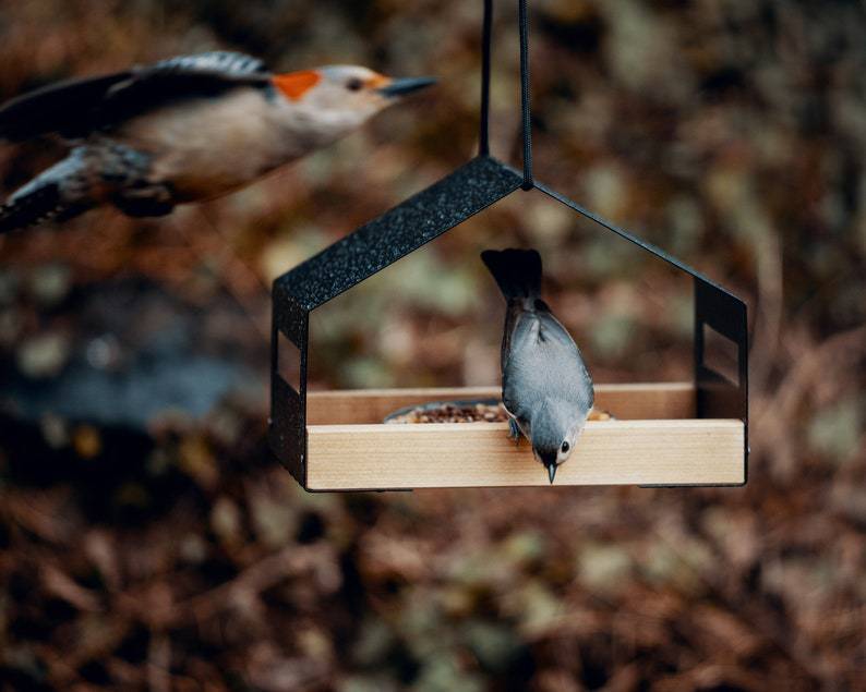 Outdoor Garden Decoration Hanging Bird Feeder