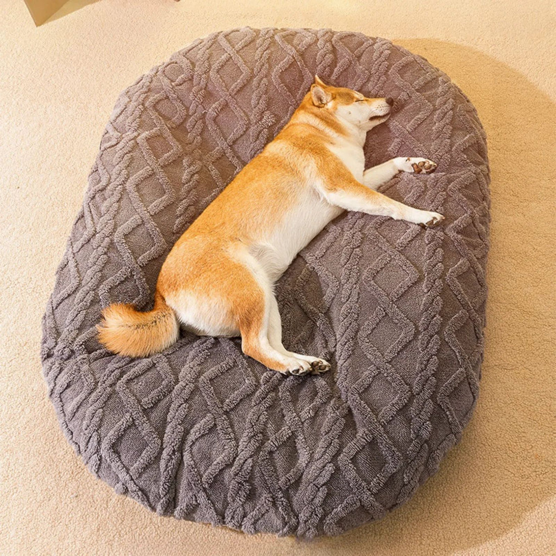 New Dog Bed For Large Medium Small Dogs