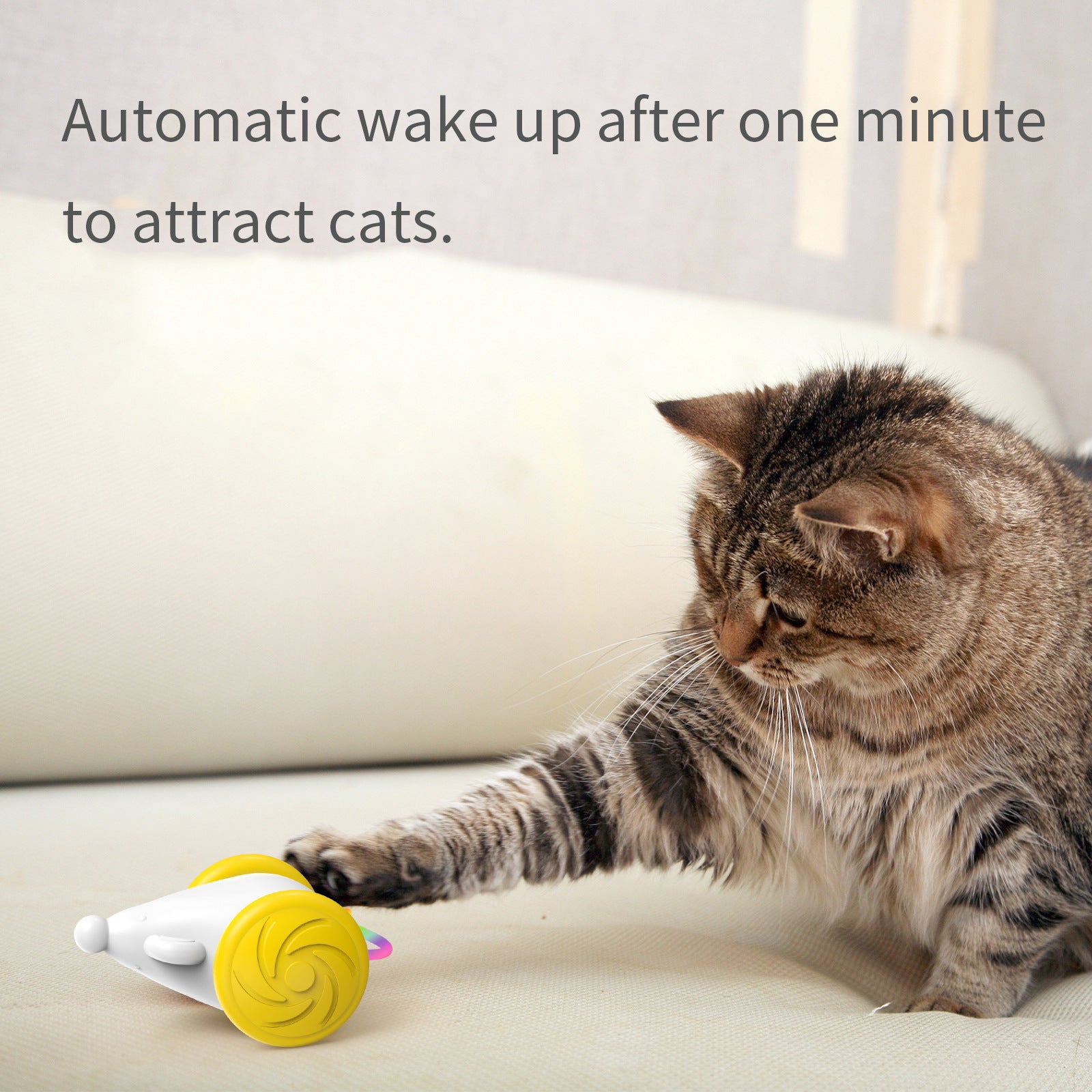 Interactive Toy For Cats Simulation Mouse