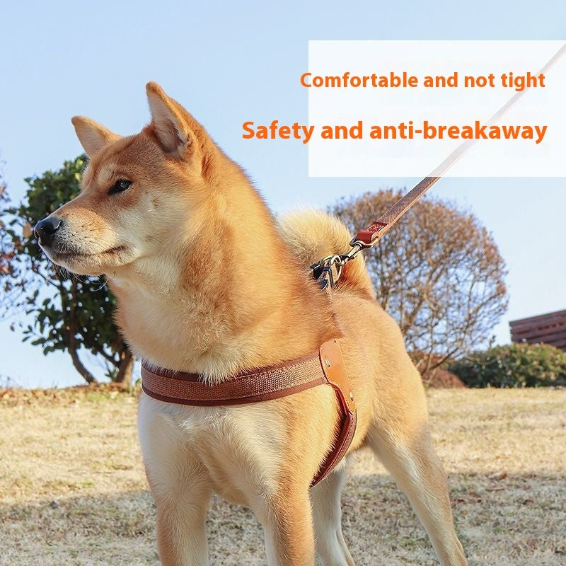 Leash Chest And Back Small Dog