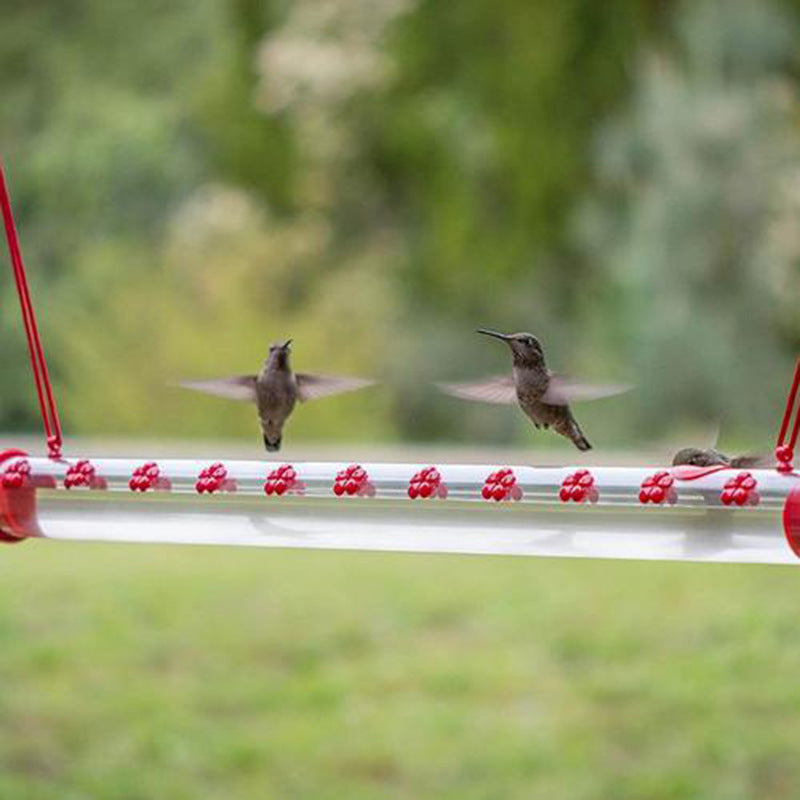 Hanging Red Tube Feeder Flower Hummingbird