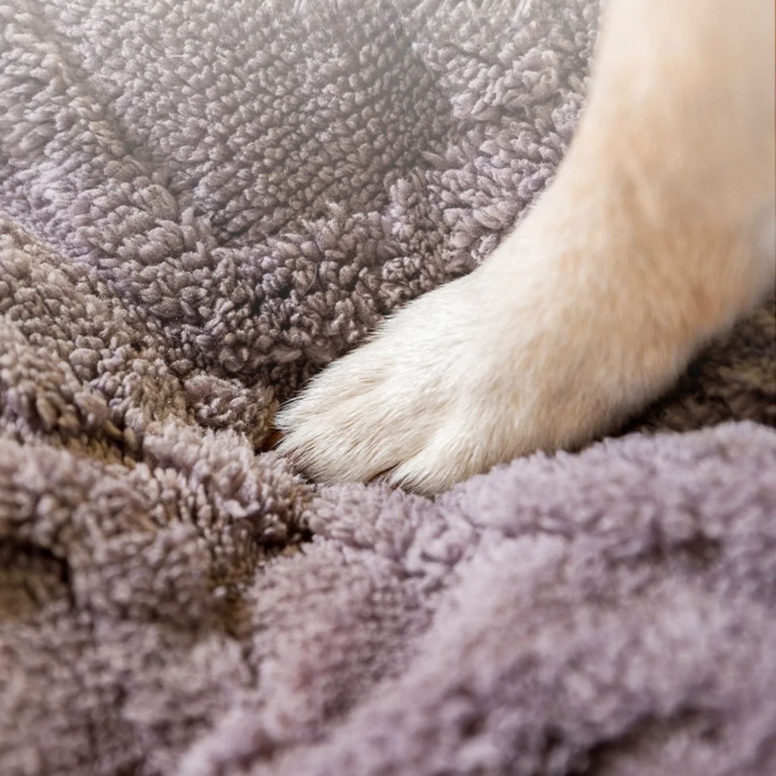 New Dog Bed For Large Medium Small Dogs