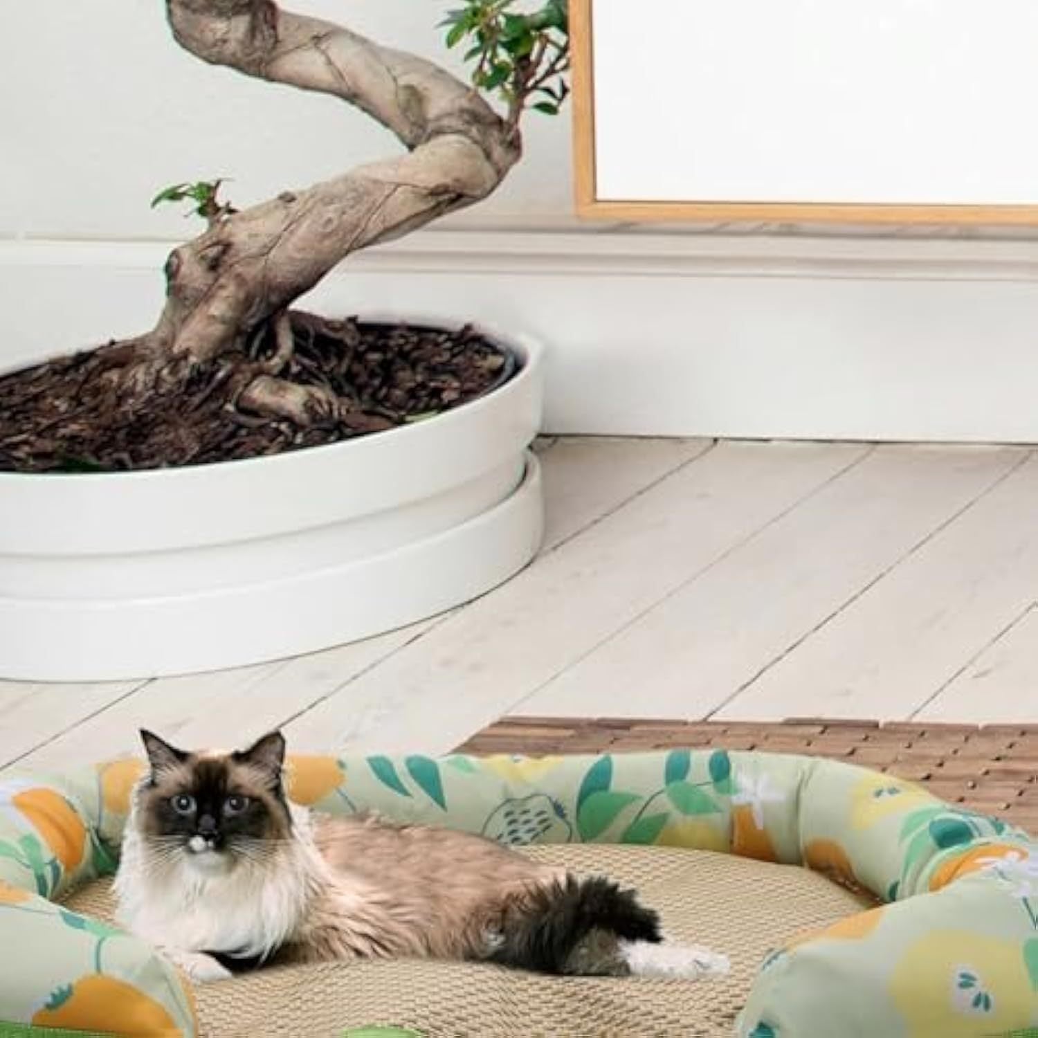 Cooling Mat For Pets