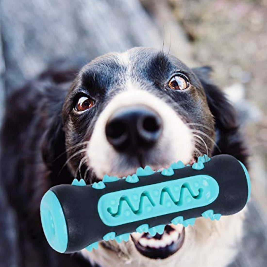 Dog Toothbrush Chew Toy Puppy Dog