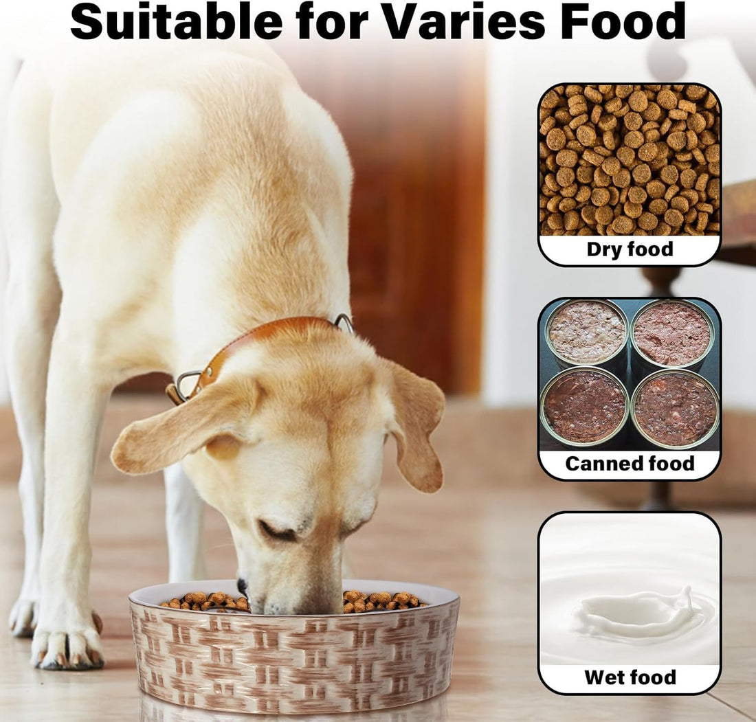 Ceramic Slow Feeder Dog Bowl