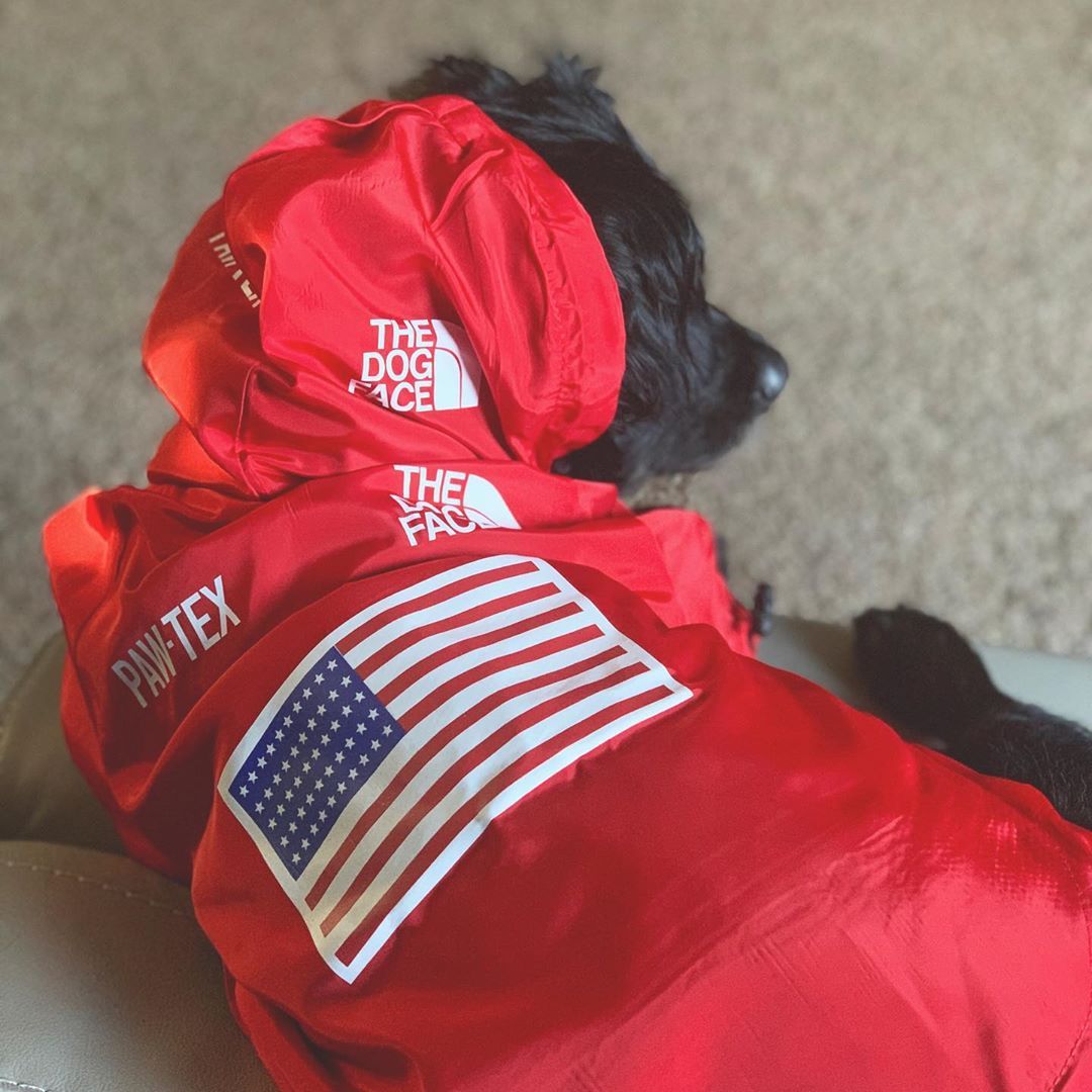 Windproof And Dog Large Dog Raincoat
