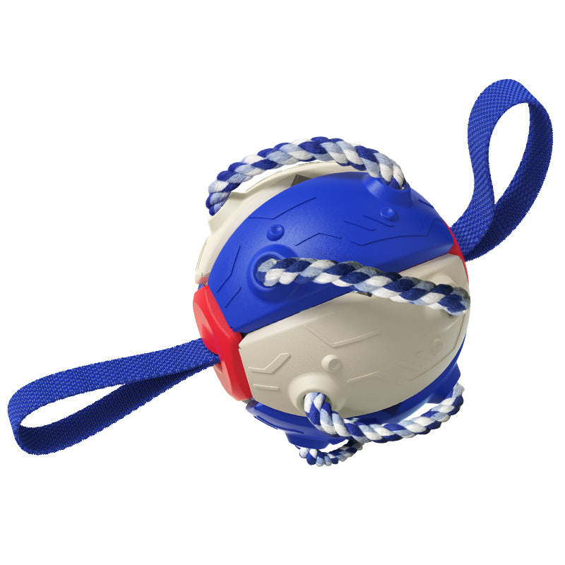 Pet Flying Saucer Ball Dog Toy