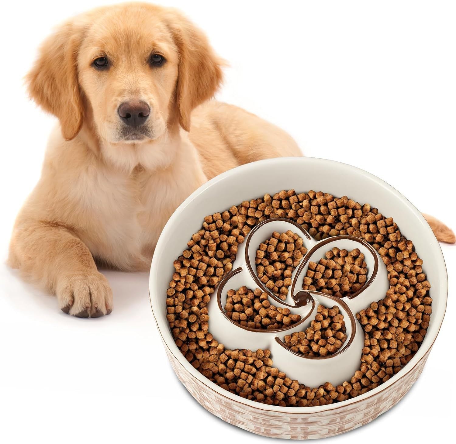 Ceramic Slow Feeder Dog Bowl