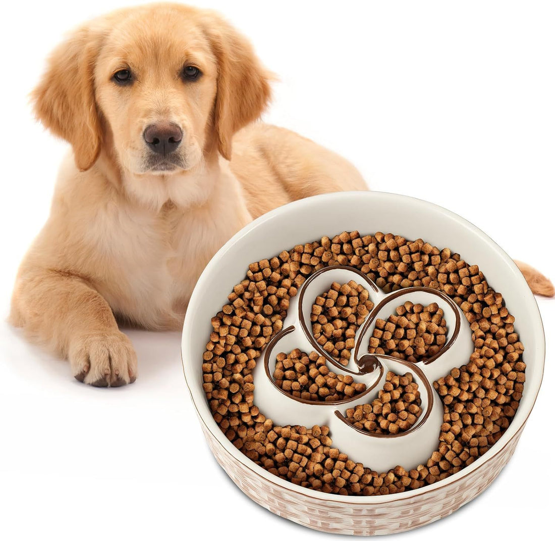 Ceramic Slow Feeder Dog Bowl