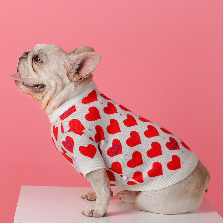 Schnauzer Small Dog Knitted Sweater