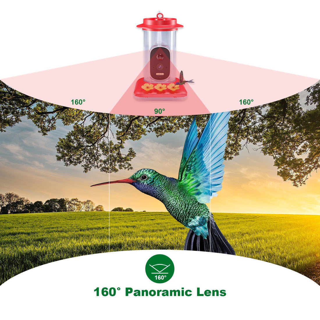 Intelligent Visual Hummingbird Water Feeder