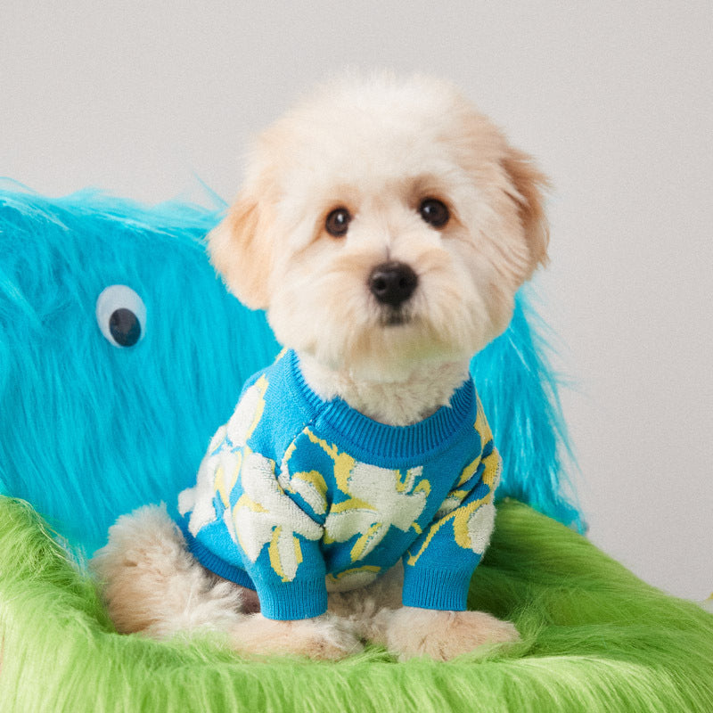 Dog Clothes Warm In Winter Teddy Bear